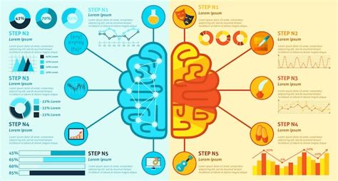 Free Vector | Left And Right Brain Infographics