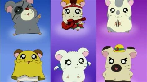 Hamtaro Cartoon Network Bumper 2003, 47% OFF