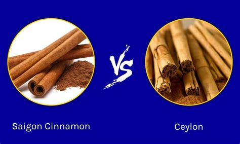 Saigon Cinnamon vs Ceylon: Is There a Difference?