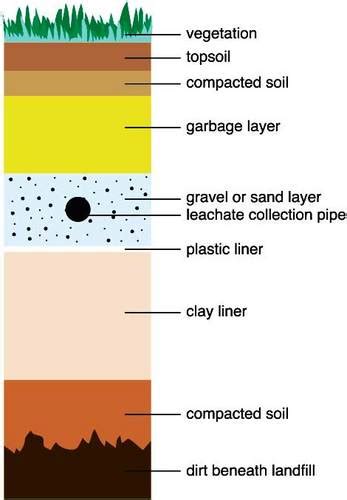 Anatomy of a Landfill - Roll Off Dumpsters & Containers