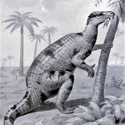 Interesting Facts About Iguanodon