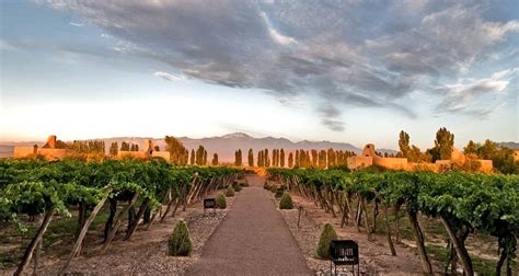 Argentina - Wines of the Andes: Buenos Aires, Salta & Mendoza or ...