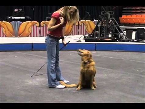 Animal Trainers Prepare for Circus Performance - YouTube