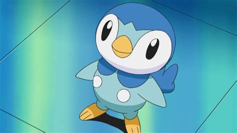 Piplup Dawn – Pokepédia