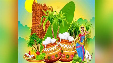 Pongal 2023: Know Dates, Timings And Rituals Of The Harvest Festival Of ...