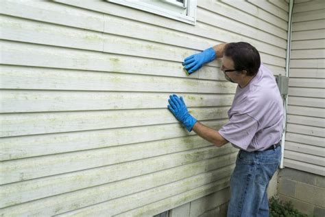 How to remove mold from vinyl siding