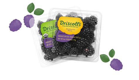 Blackberries | Driscoll's