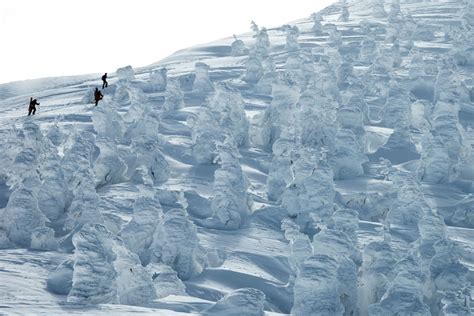 Juhyo: The Snow Monsters on Japan’s Mount Zao - The Atlantic