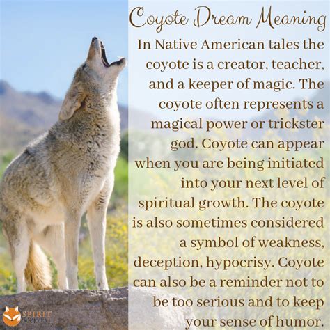 Native American Coyote Symbol