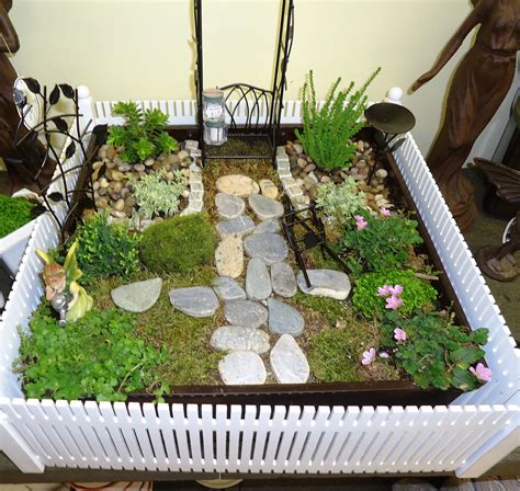 Miniature Gardening - Town & Country Nurseries