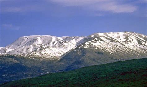 Mount Hermon, Israel | Holy land israel, Israel, Israel travel