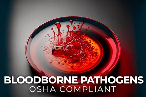 OSHA Compliant Bloodborne Pathogens Training 5Hr - Premiere Education ...