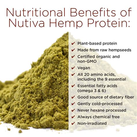 Nutiva Organic Hemp Protein 15g, 3-Pound Bag: Amazon.ca: Grocery ...