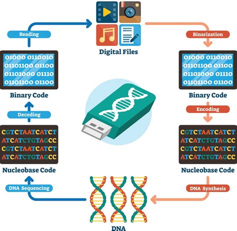 DNA-based digital data storage technology | Download Scientific Diagram