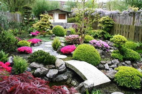 Japanese Garden Plants - Plants BW