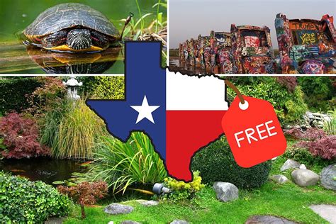 30 Free Things To Do This Summer In Texas