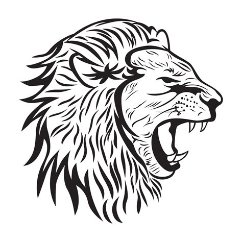 male lion head sketch and drawing 2071473 Vector Art at Vecteezy