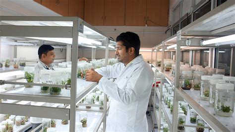 Plant Tissue Culture and Elite Planting Material Laboratory ...