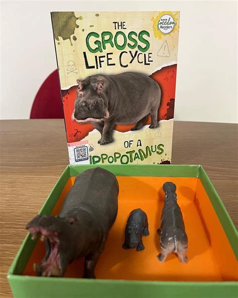 Book Review: “The Gross Life Cycle of a Hippopotamus”