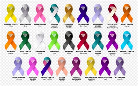 49,100+ Cancer Ribbon Stock Photos, Pictures & Royalty-Free Images - iStock