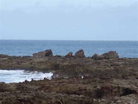 Picture from the Pupukea Beach Park Trail | This is a pictur… | Flickr