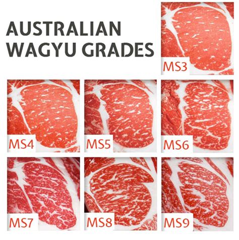 Wagyu Beef Marbling Score: A Comprehensive Grading Guide