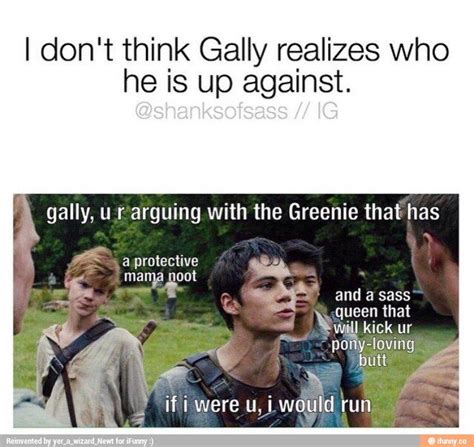 "The Maze Runner: Jokes and Memes" - Gally, you're crazy | Maze runner ...