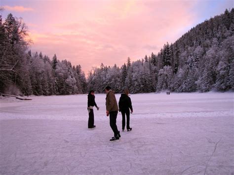 Gallery | Cozy Cabins Wellness Resort Near Echo Lake, B.C.