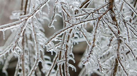 Sleet, freezing rain, and snow: here's the difference and why it ...