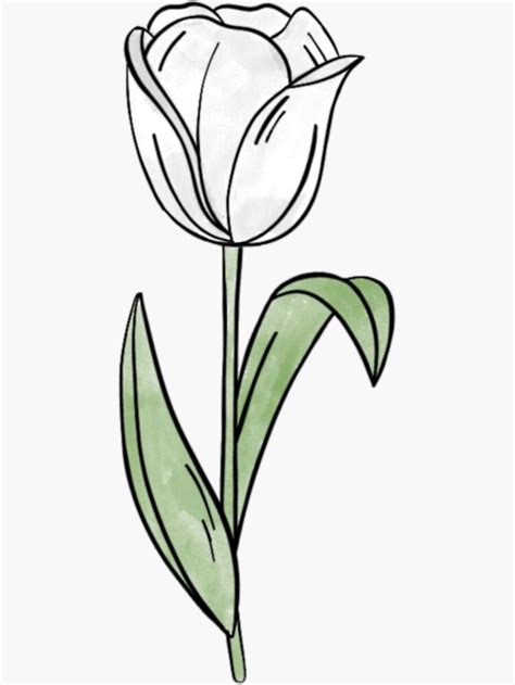 White Watercolor Tulip Flower Sticker by Jennaviveart in 2021 ...