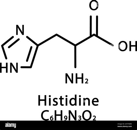 Histidine molecular structure. Histidine skeletal chemical formula ...