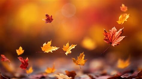 Autumn Hd Background Images - Free Download on Freepik