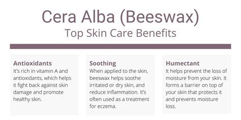 Cera Alba (Beeswax) for Skin - Top Benefits | Skincare Lab