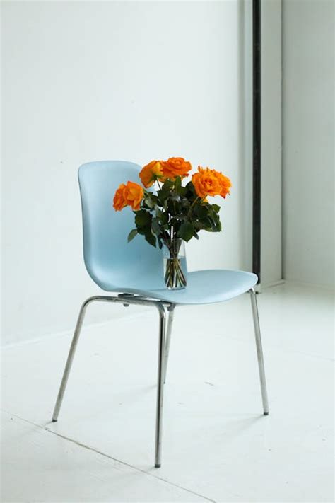 Blue Chair Photos, Download The BEST Free Blue Chair Stock Photos & HD ...