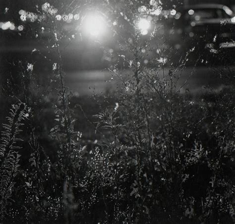 Robert Adams -“Summer Nights Walking” (2009) – AMERICAN SUBURB X ...