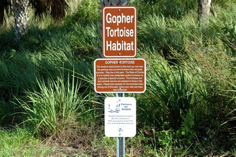 Edit free photo of Gopher,tortoise,habitat,sign,warning - needpix.com