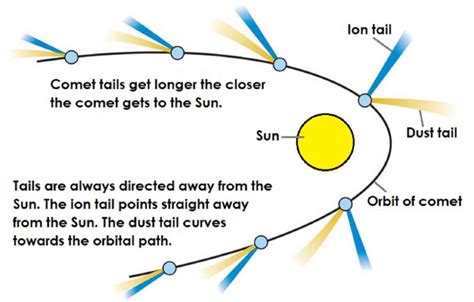 Diagram of a comet orbiting the Sun. Both tails get bigger the closer ...