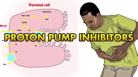 Proton Pump Inhibitors Mechanism of Action - YouTube