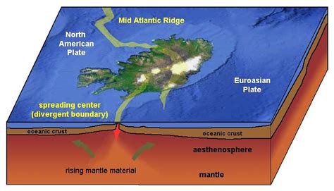 Mid Atlantic Ocean Ridge Diagram - ocean wildlife list