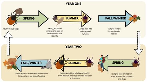 Tick Surveillance — Lebanon County Conservation District