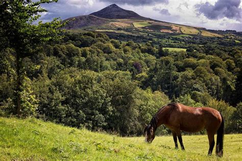 Wicklow Mountains National Park | Glenview Hotel Wicklow