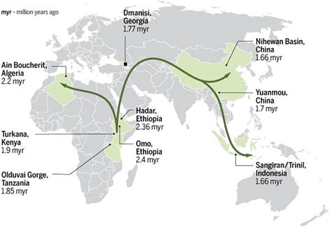 Early Migrations—The Genus Homo Leaving Africa • Becoming Human