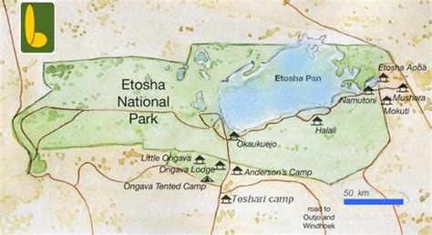 Etosha National Park - LB Safari's