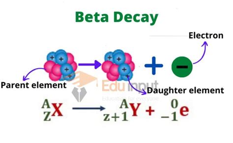 Beta Decay-Definition, Types, Application, And Limitations