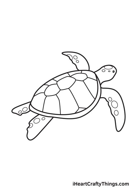 Drawing Green Sea Turtle