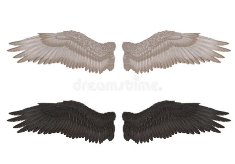 3D Realistic Isolated Angel Wings Pair of Falcon Wings, Wings Design ...