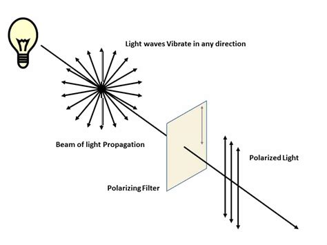 Polarized Light Photography for Art Documentation – Cultural Heritage ...