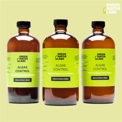 Algae Control – Green Water Labs