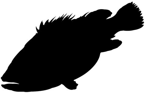 Grouper Silhouette | Free vector silhouettes