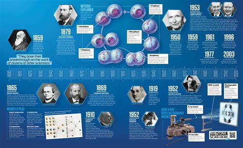 History of DNA - How It Works | Everand